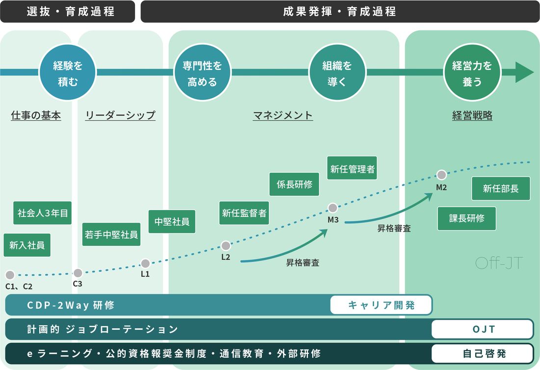 ステップに応じた研修